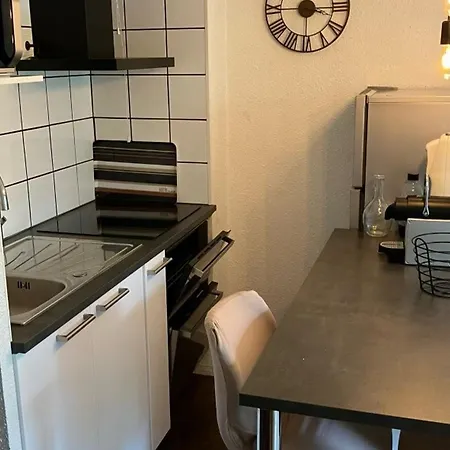 Apartmán 4 Pers, Expose Sud, Animaux Admis, Balcon - Fr-1-263-598 Valloire